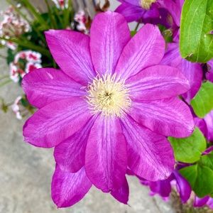 Meet your Posher, Denise